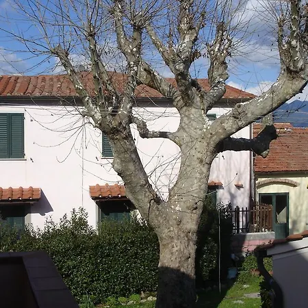 Apartment La Corte Pisa
