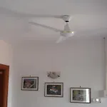 La Corte Pisa